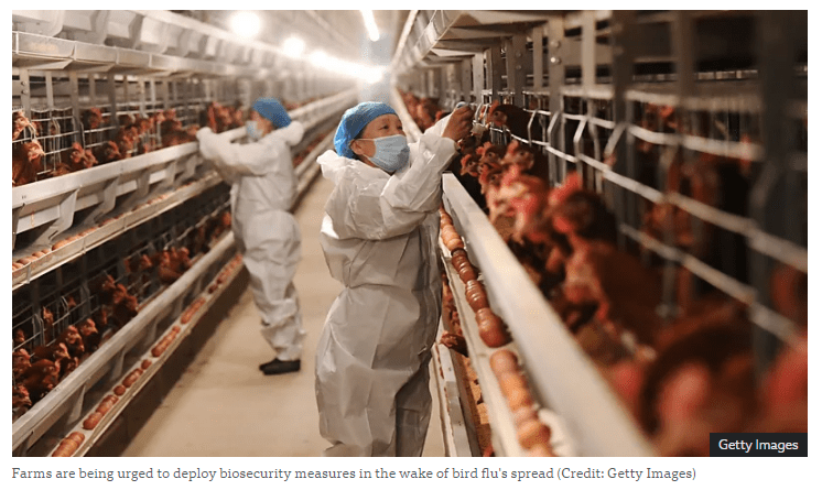 Farms are being urged to deploy biosecurity measures in the wake of bird flu's spread