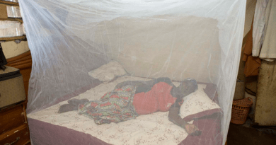Protect Your family from malaria with Long-Lasting Insecticide Nets