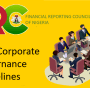 FINANCIAL REPORTING COUNCIL - SME CORPORATE GOVERNANCE GUIDELINES