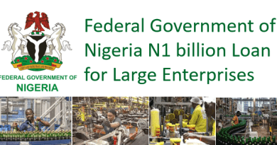 Federal Government N1 billion loan for large enterprises