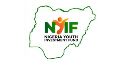 Nigeria Youth Investment fund NYIF