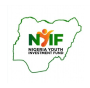 Nigeria Youth Investment fund NYIF