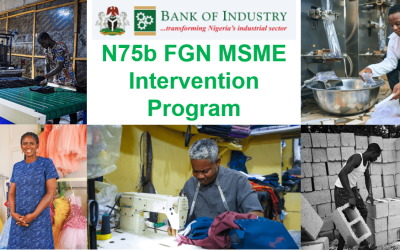 N75 billion FGN MSME Intervention program