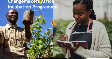 Swiss Re Foundation Changemakers Africa Incubation Programme