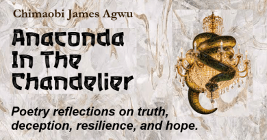 Poetry Collection - Anaconda in the chandelier